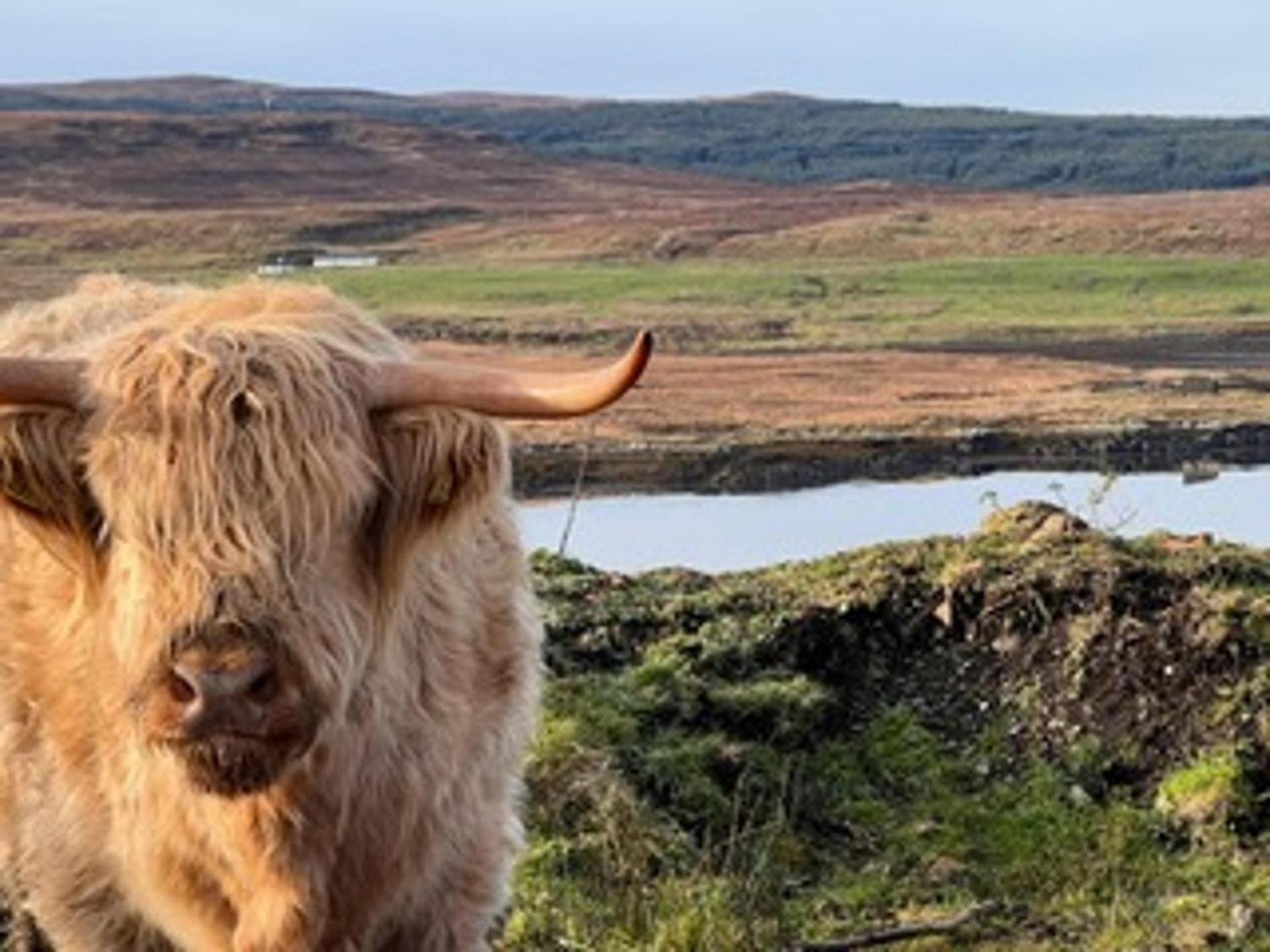 Villa No 4 Old Post Office Row Isle Of Skye - Book Now! Eyre Esterno foto